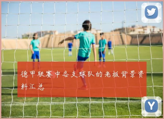 德甲联赛中各支球队的老板背景资料汇总
