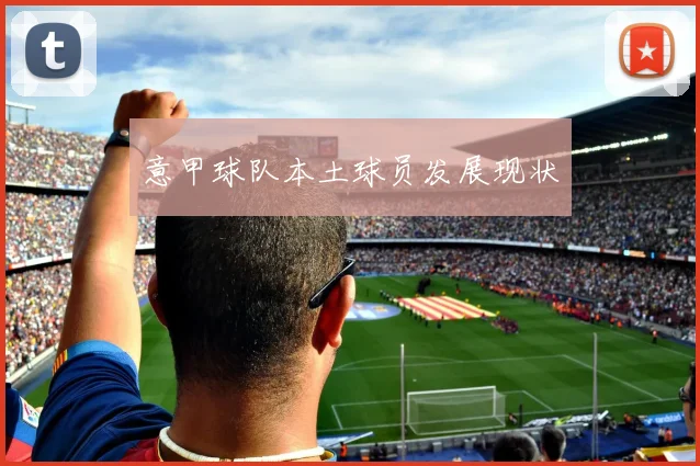 意甲球队本土球员发展现状
