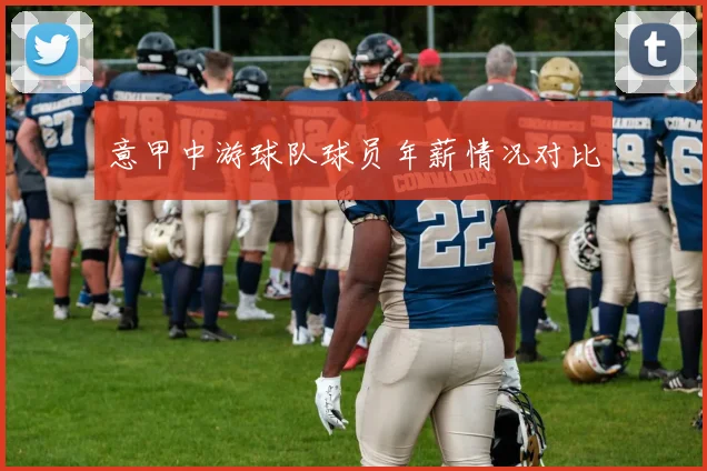 意甲中游球队球员年薪情况对比